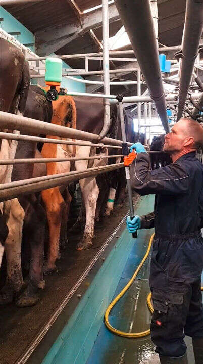 KERBL Tailpainter Applikator